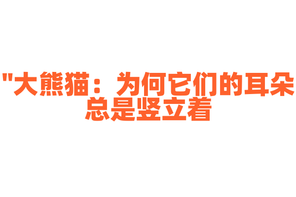 "大熊猫：为何它们的耳朵总是竖立着？"